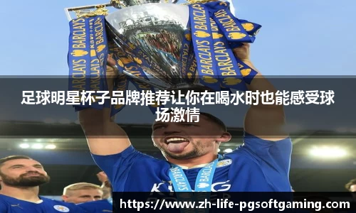 足球明星杯子品牌推荐让你在喝水时也能感受球场激情